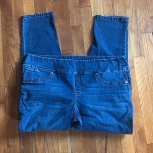 Style&co jegging